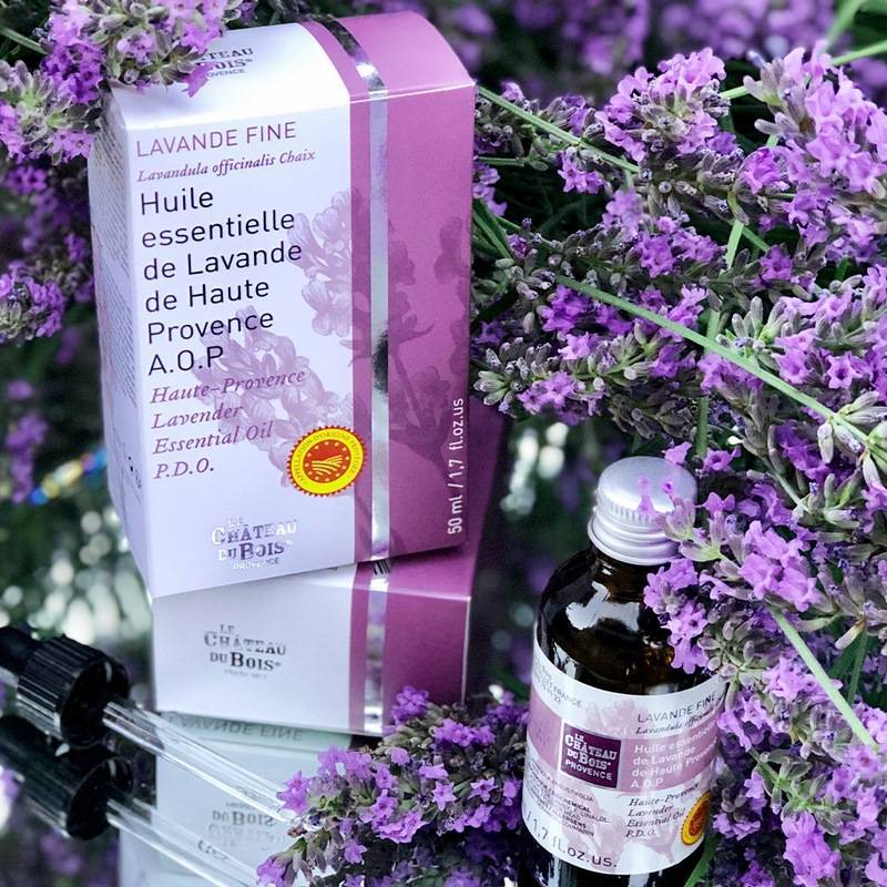 Fun and educational workshops on lavender The Luberon