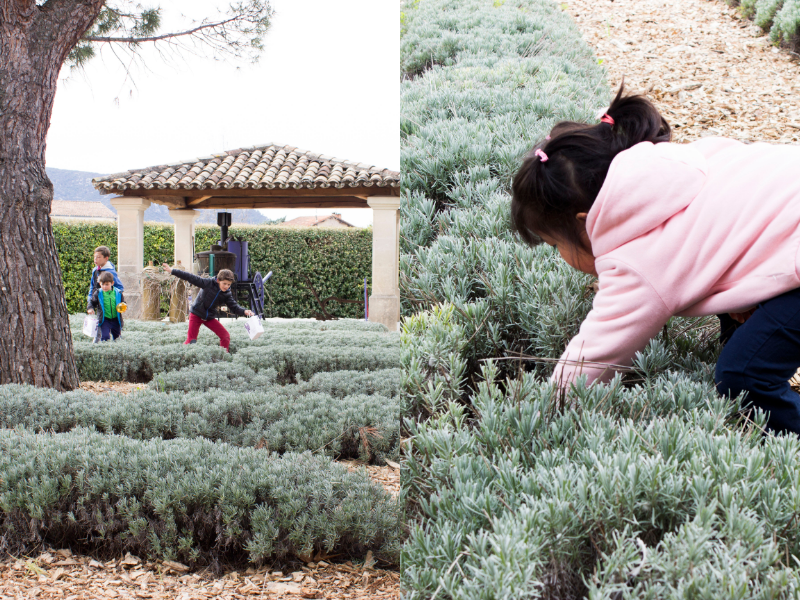 Easter egg hunt for children 
