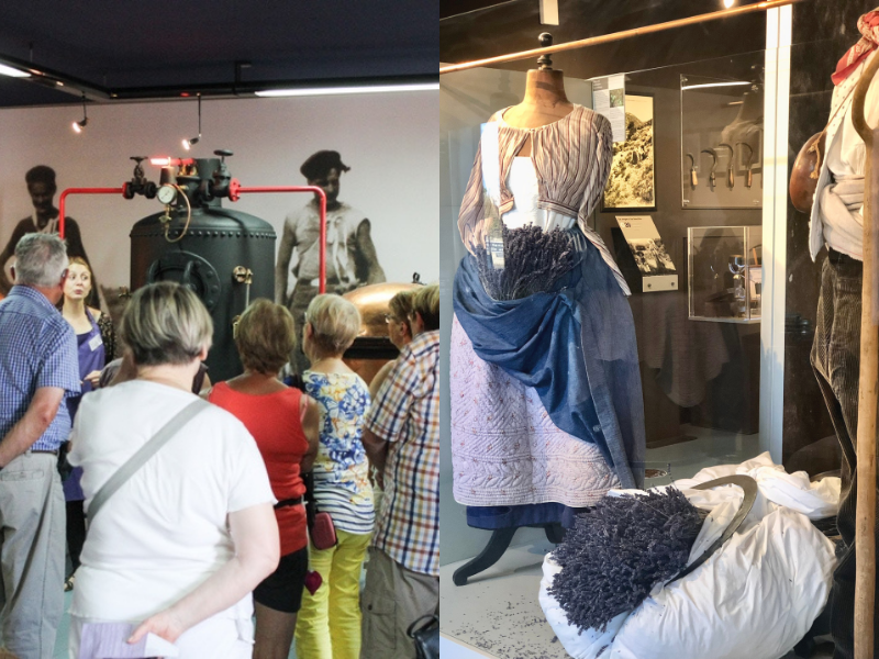 Visit the museum in different languages at lavender museum in Luberon 