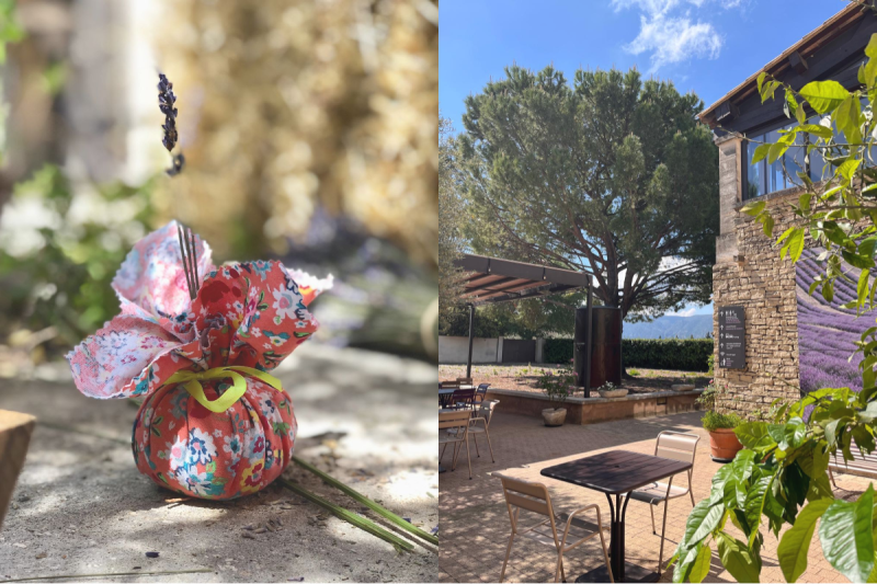 Festive day : August 5, 2026 in Provence | Harvest & Distillation Day (Lavender Museum Luberon)