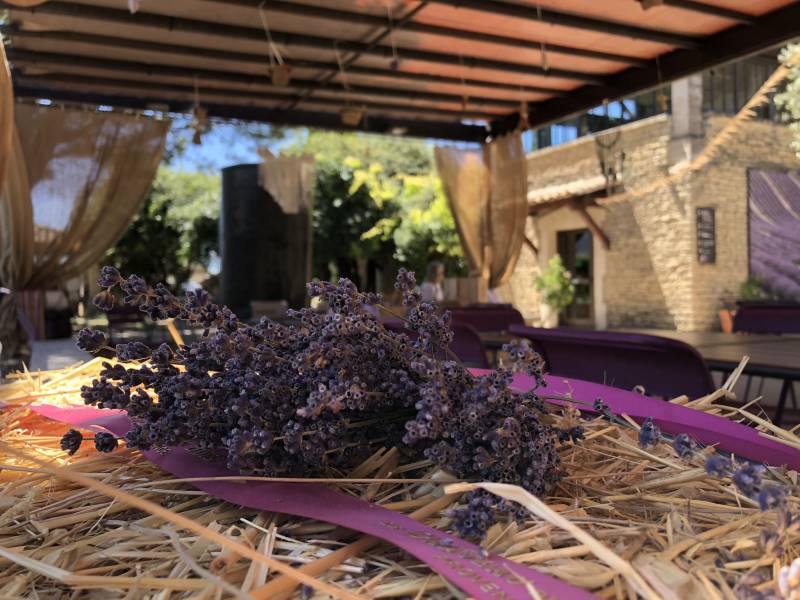 Festive day decoration of the lavender garden at lavender museum in Luberon 
