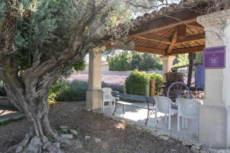 Live Traditional distillation workshop in ancient still