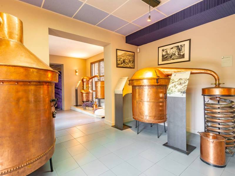 350 authentic pieces of collection, lavender stills and curiosities at lavender museum in Provence