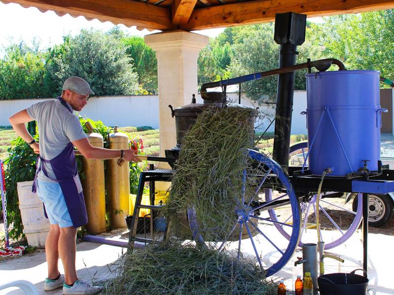 Live Traditional distillation workshop in ancient still