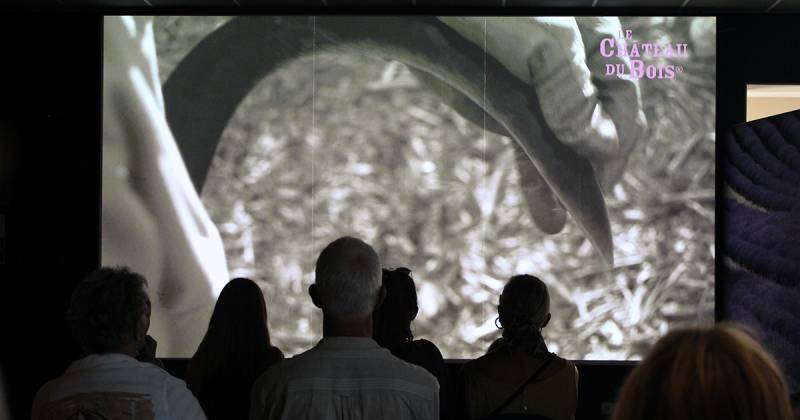 Documentaire en salle de projection