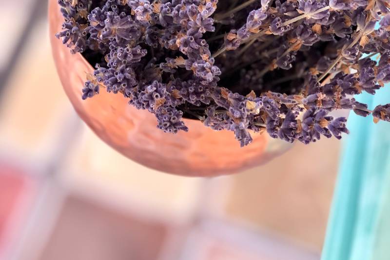 Lavender Ice cream tasting