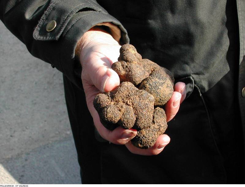Four Thursday Markets to Visit in the Luberon