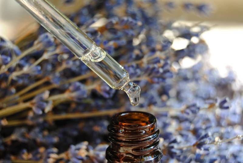 Shopping therapy at the Lavender Museum's 100% Fine Lavender Boutique in Luberon