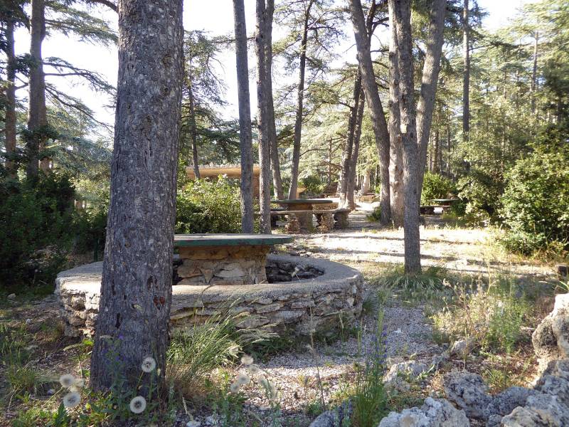 Unusual walk in the Luberon near the Musée de la Lavande