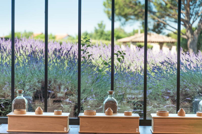 The view through the window of the sensory workshop at the Lavender Museum Luberon, near Gordes