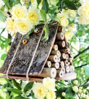 
Our area of ​​activity for this service Participate in a lavender discovery workshop near Nice and Cannes