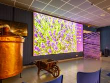 
Our area of ​​activity for this service Learn the history of lavender The Luberon