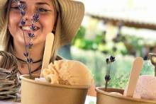 
Our area of ​​activity for this service Idea for a cultural visit The Luberon