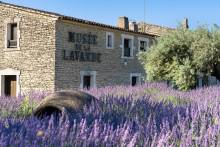 Our services in the sector of The Luberon