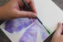 Our services in the sector of Avignon in the Vaucluse