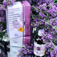 
Our area of ​​activity for this service Explore lavender fields in groups Avignon in the Vaucluse