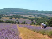 
Our area of ​​activity for this service Experience an unique sensory experience The Luberon